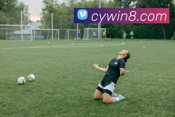 彩盈娱乐官网平台生态图