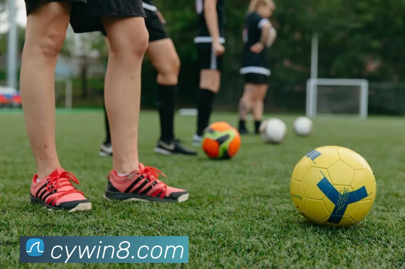 彩盈娱乐官网APP 封面图