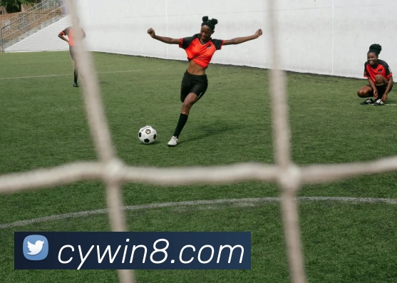 数据防护可视化